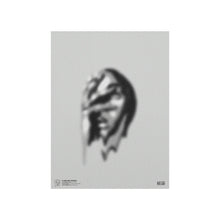 Load image into Gallery viewer, Flawless Print
