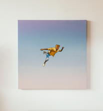 Load image into Gallery viewer, Found
